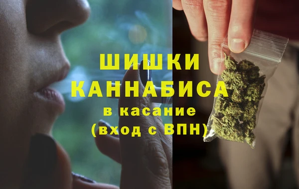 стафф Волосово
